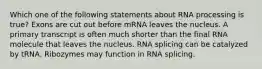 Which one of the following statements about RNA processing is true? Exons are cut out before mRNA leaves the nucleus. A primary transcript is often much shorter than the final RNA molecule that leaves the nucleus. RNA splicing can be catalyzed by tRNA. Ribozymes may function in RNA splicing.