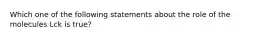 Which one of the following statements about the role of the molecules Lck is true?