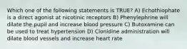 Which one of the following statements is TRUE? A) Echothiophate is a direct agonist at nicotinic receptors B) Phenylephrine will dilate the pupil and increase blood pressure C) Butoxamine can be used to treat hypertension D) Clonidine administration will dilate blood vessels and increase heart rate