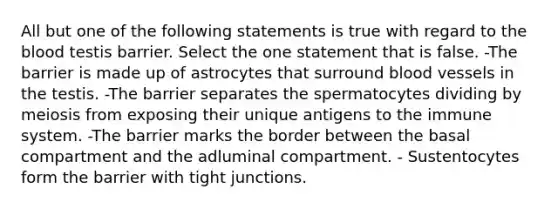 All but one of the following statements is true with regard to <a href='https://www.questionai.com/knowledge/k7oXMfj7lk-the-blood' class='anchor-knowledge'>the blood</a> testis barrier. Select the one statement that is false. -The barrier is made up of astrocytes that surround <a href='https://www.questionai.com/knowledge/kZJ3mNKN7P-blood-vessels' class='anchor-knowledge'>blood vessels</a> in the testis. -The barrier separates the spermatocytes dividing by meiosis from exposing their unique antigens to the immune system. -The barrier marks the border between the basal compartment and the adluminal compartment. - Sustentocytes form the barrier with tight junctions.