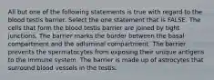 All but one of the following statements is true with regard to the blood testis barrier. Select the one statement that is FALSE. The cells that form the blood testis barrier are joined by tight junctions. The barrier marks the border between the basal compartment and the adluminal compartment. The barrier prevents the spermatocytes from exposing their unique antigens to the immune system. The barrier is made up of astrocytes that surround blood vessels in the testis.