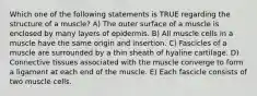 Which one of the following statements is TRUE regarding the structure of a muscle? A) The outer surface of a muscle is enclosed by many layers of epidermis. B) All muscle cells in a muscle have the same origin and insertion. C) Fascicles of a muscle are surrounded by a thin sheath of hyaline cartilage. D) Connective tissues associated with the muscle converge to form a ligament at each end of the muscle. E) Each fascicle consists of two muscle cells.