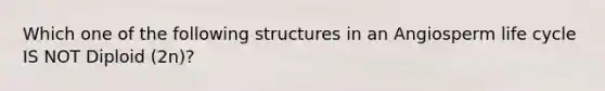 Which one of the following structures in an Angiosperm life cycle IS NOT Diploid (2n)?