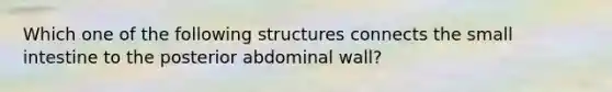 Which one of the following structures connects the small intestine to the posterior abdominal wall?