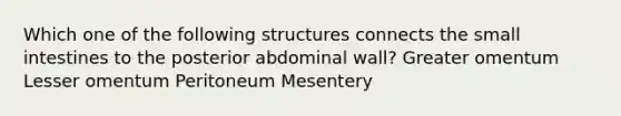 Which one of the following structures connects the small intestines to the posterior abdominal wall? Greater omentum Lesser omentum Peritoneum Mesentery