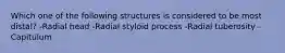 Which one of the following structures is considered to be most distal? -Radial head -Radial styloid process -Radial tuberosity -Capitulum