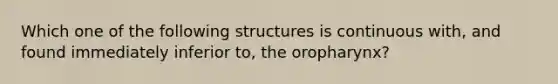 Which one of the following structures is continuous with, and found immediately inferior to, the oropharynx?