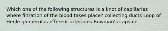 Which one of the following structures is a knot of capillaries where filtration of the blood takes place? collecting ducts Loop of Henle glomerulus efferent arterioles Bowman's capsule