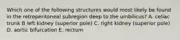 Which one of the following structures would most likely be found in the retroperitoneal subregion deep to the umbilicus? A. celiac trunk B left kidney (superior pole) C. right kidney (superior pole) D. aortic bifurcation E. rectum