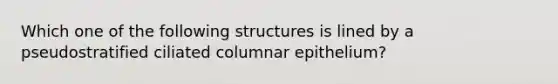 Which one of the following structures is lined by a pseudostratified ciliated columnar epithelium?