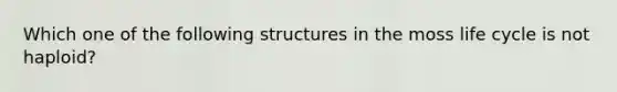 Which one of the following structures in the moss life cycle is not haploid?