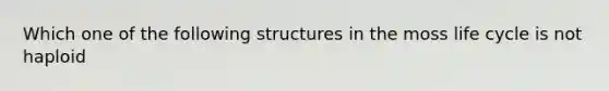 Which one of the following structures in the moss life cycle is not haploid