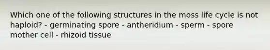 Which one of the following structures in the moss life cycle is not haploid? - germinating spore - antheridium - sperm - spore mother cell - rhizoid tissue