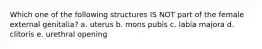 Which one of the following structures IS NOT part of the female external genitalia? a. uterus b. mons pubis c. labia majora d. clitoris e. urethral opening