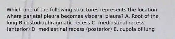 Which one of the following structures represents the location where parietal pleura becomes visceral pleura? A. Root of the lung B costodiaphragmatic recess C. mediastinal recess (anterior) D. mediastinal recess (posterior) E. cupola of lung