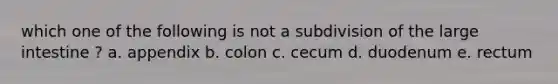 which one of the following is not a subdivision of the <a href='https://www.questionai.com/knowledge/kGQjby07OK-large-intestine' class='anchor-knowledge'>large intestine</a> ? a. appendix b. colon c. cecum d. duodenum e. rectum