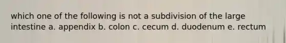 which one of the following is not a subdivision of the <a href='https://www.questionai.com/knowledge/kGQjby07OK-large-intestine' class='anchor-knowledge'>large intestine</a> a. appendix b. colon c. cecum d. duodenum e. rectum