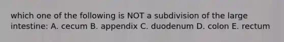 which one of the following is NOT a subdivision of the <a href='https://www.questionai.com/knowledge/kGQjby07OK-large-intestine' class='anchor-knowledge'>large intestine</a>: A. cecum B. appendix C. duodenum D. colon E. rectum