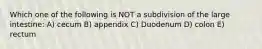 Which one of the following is NOT a subdivision of the large intestine: A) cecum B) appendix C) Duodenum D) colon E) rectum