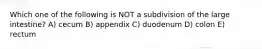 Which one of the following is NOT a subdivision of the large intestine? A) cecum B) appendix C) duodenum D) colon E) rectum