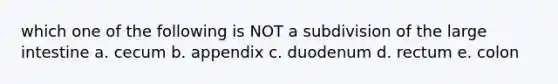 which one of the following is NOT a subdivision of the large intestine a. cecum b. appendix c. duodenum d. rectum e. colon