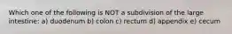 Which one of the following is NOT a subdivision of the large intestine: a) duodenum b) colon c) rectum d) appendix e) cecum