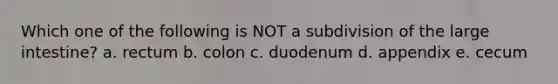 Which one of the following is NOT a subdivision of the large intestine? a. rectum b. colon c. duodenum d. appendix e. cecum