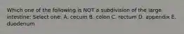 Which one of the following is NOT a subdivision of the large intestine: Select one: A. cecum B. colon C. rectum D. appendix E. duodenum