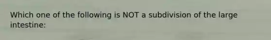 Which one of the following is NOT a subdivision of the large intestine: