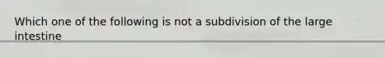 Which one of the following is not a subdivision of the large intestine