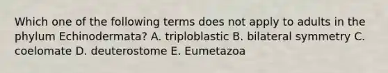 Which one of the following terms does not apply to adults in the phylum Echinodermata? A. triploblastic B. bilateral symmetry C. coelomate D. deuterostome E. Eumetazoa