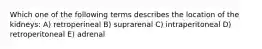 Which one of the following terms describes the location of the kidneys: A) retroperineal B) suprarenal C) intraperitoneal D) retroperitoneal E) adrenal