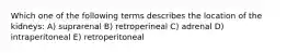 Which one of the following terms describes the location of the kidneys: A) suprarenal B) retroperineal C) adrenal D) intraperitoneal E) retroperitoneal