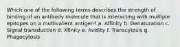 Which one of the following terms describes the strength of binding of an antibody molecule that is interacting with multiple epitopes on a multivalient antigen? a. Affinity b. Denaturation c. Signal transduction d. Xfinity e. Avidity f. Transcytosis g. Phagocytosis