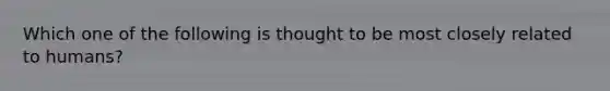 Which one of the following is thought to be most closely related to humans?