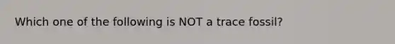 Which one of the following is NOT a trace fossil?