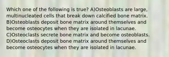 Which one of the following is true? A)Osteoblasts are large, multinucleated cells that break down calcified bone matrix. B)Osteoblasts deposit bone matrix around themselves and become osteocytes when they are isolated in lacunae. C)Osteoclasts secrete bone matrix and become osteoblasts. D)Osteoclasts deposit bone matrix around themselves and become osteocytes when they are isolated in lacunae.