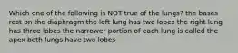 Which one of the following is NOT true of the lungs? the bases rest on the diaphragm the left lung has two lobes the right lung has three lobes the narrower portion of each lung is called the apex both lungs have two lobes