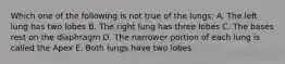 Which one of the following is not true of the lungs: A. The left lung has two lobes B. The right lung has three lobes C. The bases rest on the diaphragm D. The narrower portion of each lung is called the Apex E. Both lungs have two lobes