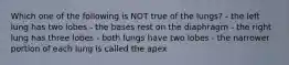 Which one of the following is NOT true of the lungs? - the left lung has two lobes - the bases rest on the diaphragm - the right lung has three lobes - both lungs have two lobes - the narrower portion of each lung is called the apex