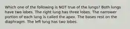 Which one of the following is NOT true of the lungs? Both lungs have two lobes. The right lung has three lobes. The narrower portion of each lung is called the apex. The bases rest on the diaphragm. The left lung has two lobes.