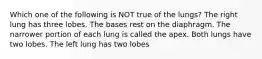 Which one of the following is NOT true of the lungs? The right lung has three lobes. The bases rest on the diaphragm. The narrower portion of each lung is called the apex. Both lungs have two lobes. The left lung has two lobes