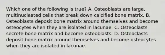 Which one of the following is true? A. Osteoblasts are large, multinucleated cells that break down calcified bone matrix. B. Osteoblasts deposit bone matrix around themselves and become osteocytes when they are isolated in lacunae. C. Osteoclasts secrete bone matrix and become osteoblasts. D. Osteoclasts deposit bone matrix around themselves and become osteocytes when they are isolated in lacunae.