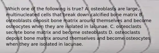 Which one of the following is true? A. osteoblasts are large, multinucleated cells that break down calcified bone matrix B. osteoblasts deposit bone matrix around themselves and become osteocytes when they are isolated in lacunae. C. osteoclasts secrete bone matrix and become osteoblasts D. osteoclasts deposit bone matrix around themselves and become osteocytes when they are isolated in lacunae.