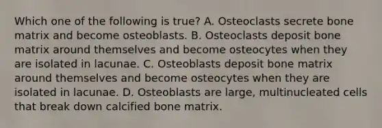 Which one of the following is true? A. Osteoclasts secrete bone matrix and become osteoblasts. B. Osteoclasts deposit bone matrix around themselves and become osteocytes when they are isolated in lacunae. C. Osteoblasts deposit bone matrix around themselves and become osteocytes when they are isolated in lacunae. D. Osteoblasts are large, multinucleated cells that break down calcified bone matrix.