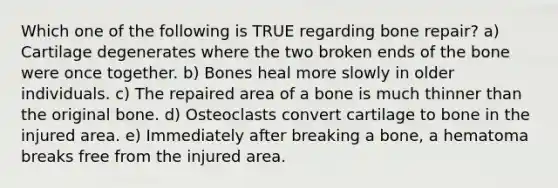 Which one of the following is TRUE regarding bone repair? a) Cartilage degenerates where the two broken ends of the bone were once together. b) Bones heal more slowly in older individuals. c) The repaired area of a bone is much thinner than the original bone. d) Osteoclasts convert cartilage to bone in the injured area. e) Immediately after breaking a bone, a hematoma breaks free from the injured area.