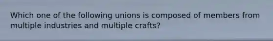 Which one of the following unions is composed of members from multiple industries and multiple crafts?