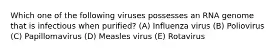 Which one of the following viruses possesses an RNA genome that is infectious when purified? (A) Influenza virus (B) Poliovirus (C) Papillomavirus (D) Measles virus (E) Rotavirus