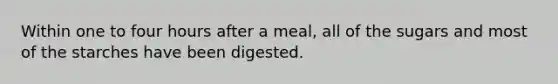 Within one to four hours after a meal, all of the sugars and most of the starches have been digested.