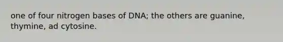 one of four nitrogen bases of DNA; the others are guanine, thymine, ad cytosine.